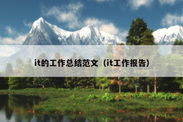 it的工作总结范文(it工作报告)