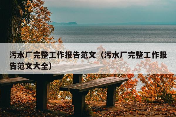 污水厂完整工作报告范文(污水厂完整工作报告范文大全)