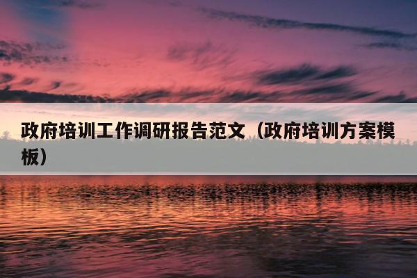 政府培训工作调研报告范文(政府培训方案模板)