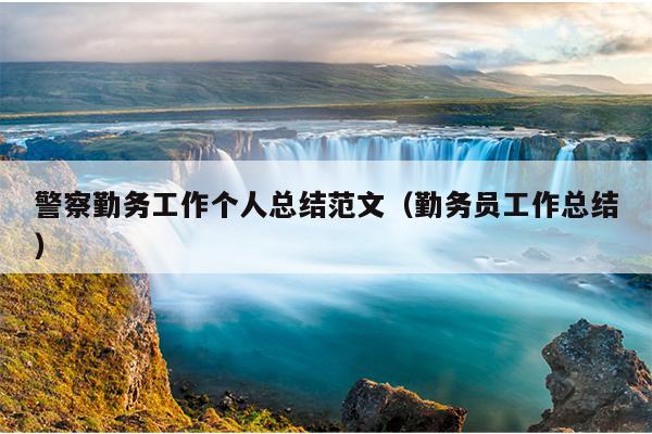 警察勤务工作个人总结范文(勤务员工作总结)