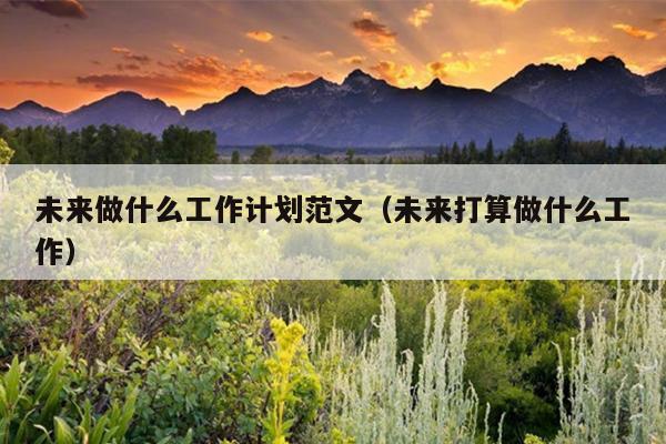 未来做什么工作计划范文(未来打算做什么工作)