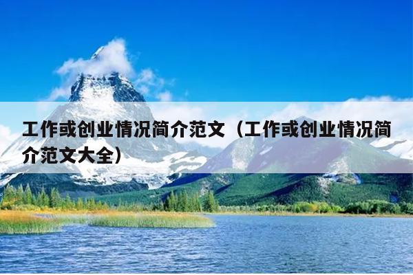 工作或创业情况简介范文(工作或创业情况简介范文大全)