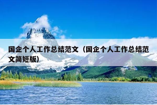 国企个人工作总结范文(国企个人工作总结范文简短版)