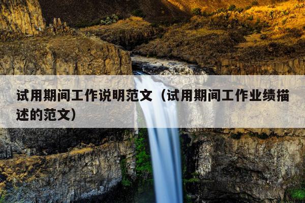 试用期间工作说明范文(试用期间工作业绩描述的范文)