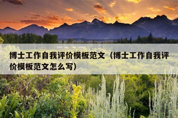 博士工作自我评价模板范文(博士工作自我评价模板范文怎么写)