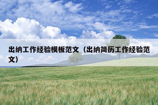 出纳工作经验模板范文(出纳简历工作经验范文)