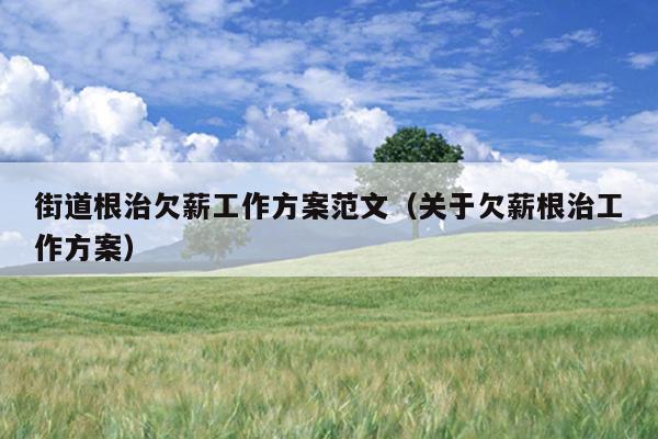 街道根治欠薪工作方案范文(关于欠薪根治工作方案)