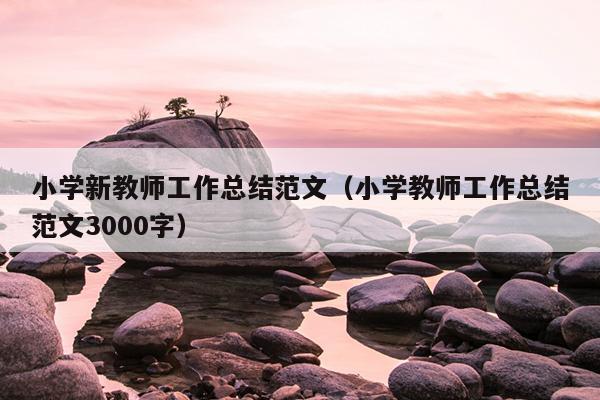 小学新教师工作总结范文(小学教师工作总结范文3000字)