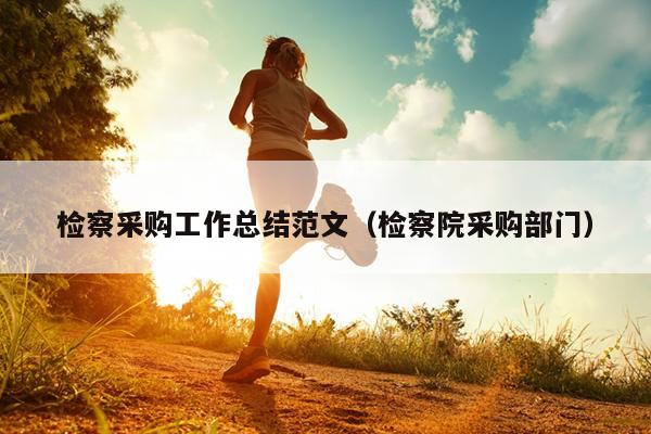 检察采购工作总结范文(检察院采购部门)