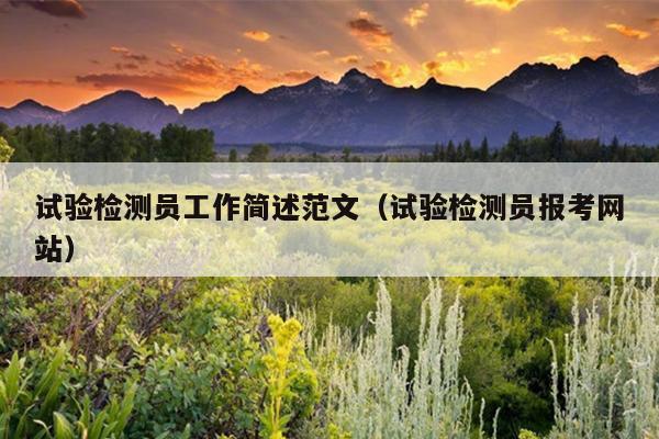 试验检测员工作简述范文(试验检测员报考网站)