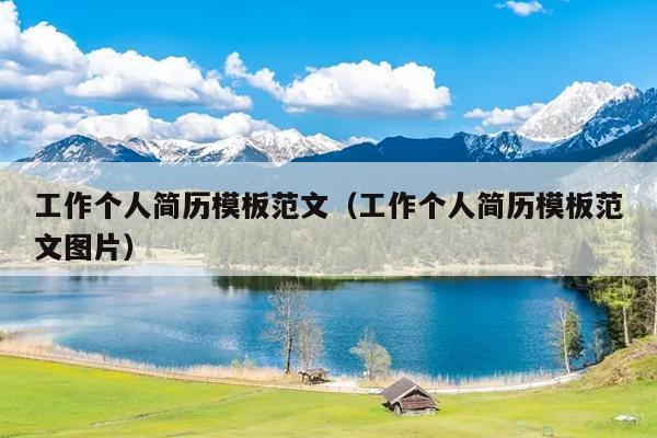 工作个人简历模板范文(工作个人简历模板范文图片)