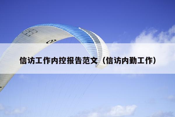 信访工作内控报告范文(信访内勤工作)