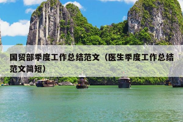 国贸部季度工作总结范文(医生季度工作总结范文简短)