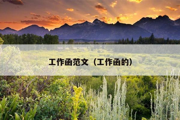工作函范文(工作函的)