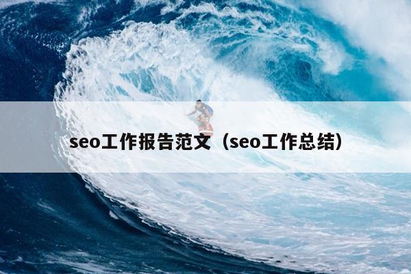 seo工作报告范文(seo工作总结)