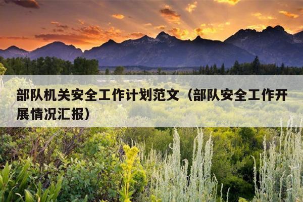 部队机关安全工作计划范文(部队安全工作开展情况汇报)