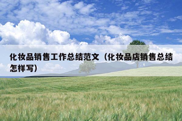 化妆品销售工作总结范文(化妆品店销售总结怎样写)