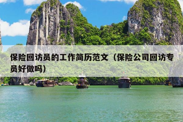 保险回访员的工作简历范文(保险公司回访专员好做吗)