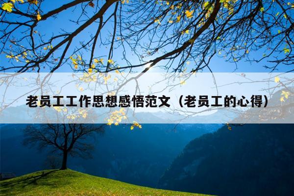 老员工工作思想感悟范文(老员工的心得)