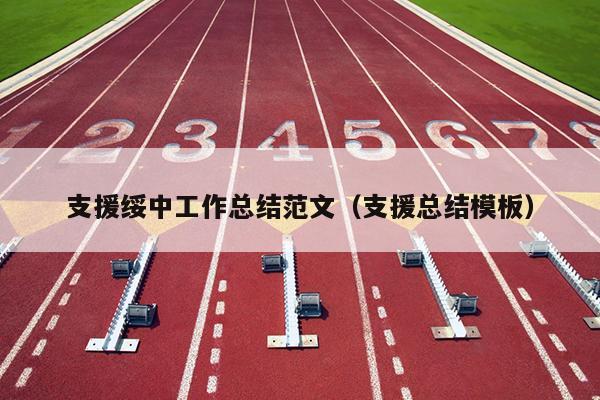 支援绥中工作总结范文(支援总结模板)