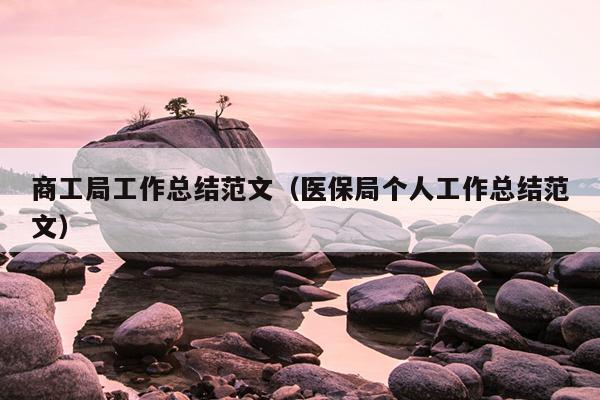 商工局工作总结范文(医保局个人工作总结范文)