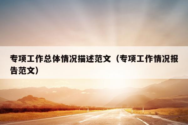 专项工作总体情况描述范文(专项工作情况报告范文)