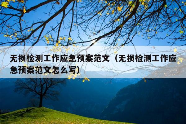 无损检测工作应急预案范文(无损检测工作应急预案范文怎么写)