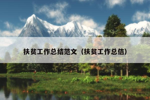 扶贫工作总结范文(扶贫工作总佶)