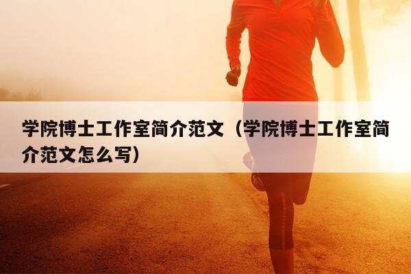 学院博士工作室简介范文(学院博士工作室简介范文怎么写)