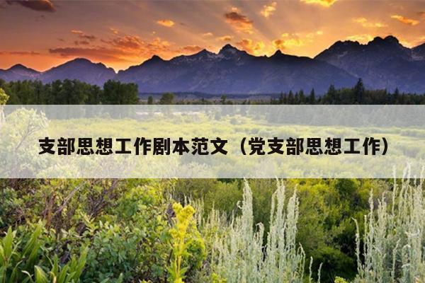 支部思想工作剧本范文(党支部思想工作)