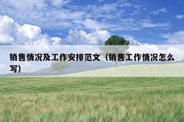 销售情况及工作安排范文(销售工作情况怎么写)