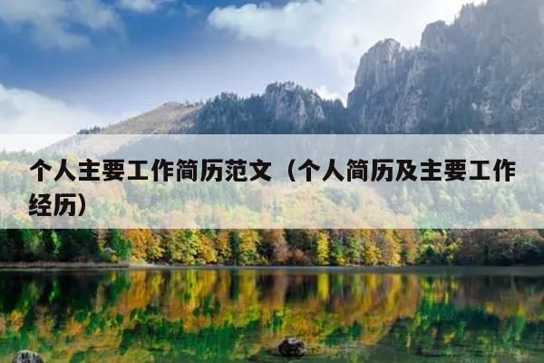 个人主要工作简历范文(个人简历及主要工作经历)