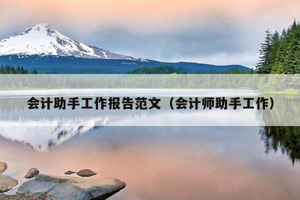 会计助手工作报告范文(会计师助手工作)