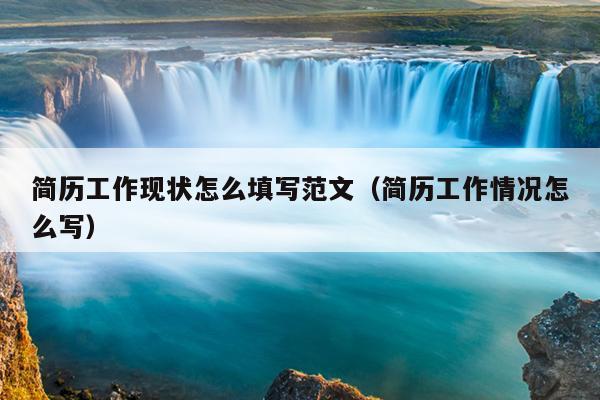 简历工作现状怎么填写范文(简历工作情况怎么写)