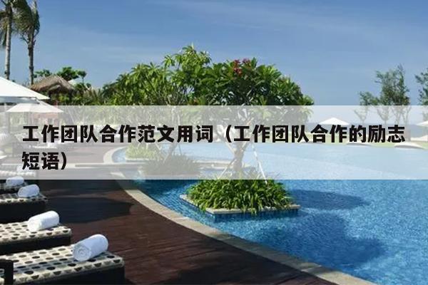 工作团队合作范文用词(工作团队合作的励志短语)