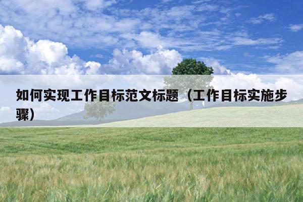 如何实现工作目标范文标题(工作目标实施步骤)