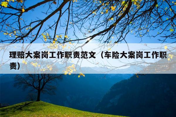 理赔大案岗工作职责范文(车险大案岗工作职责)