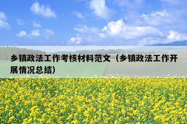 乡镇政法工作考核材料范文(乡镇政法工作开展情况总结)