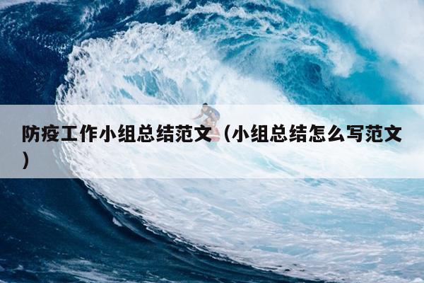 防疫工作小组总结范文(小组总结怎么写范文)