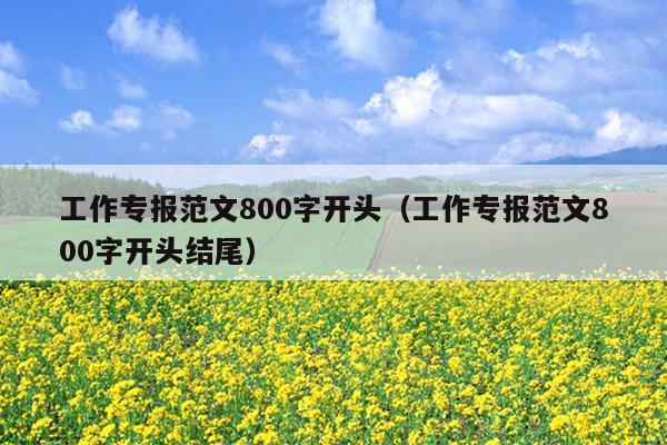 工作专报范文800字开头(工作专报范文800字开头结尾)