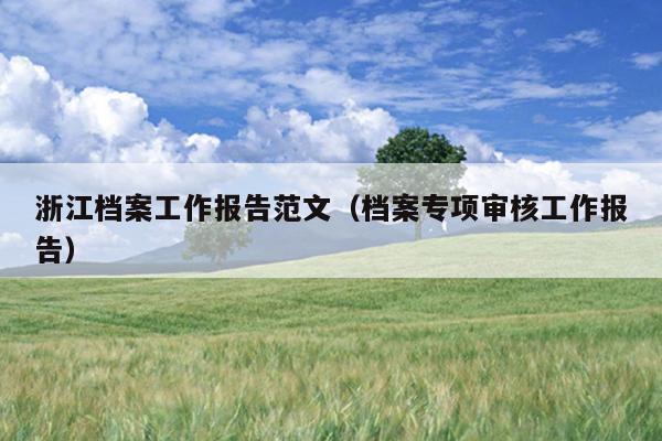 浙江档案工作报告范文(档案专项审核工作报告)