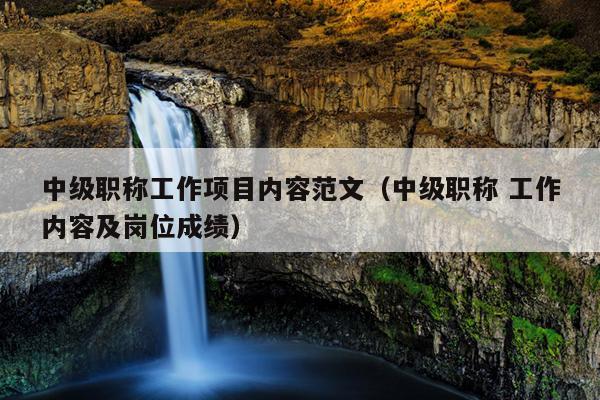 中级职称工作项目内容范文(中级职称 工作内容及岗位成绩)