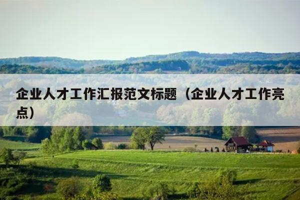 企业人才工作汇报范文标题(企业人才工作亮点)