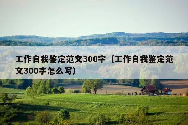 工作自我鉴定范文300字(工作自我鉴定范文300字怎么写)