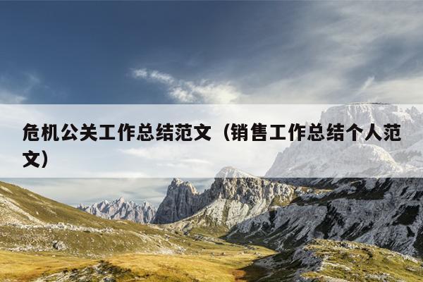 危机公关工作总结范文(销售工作总结个人范文)