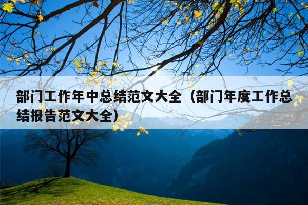 部门工作年中总结范文大全(部门年度工作总结报告范文大全)