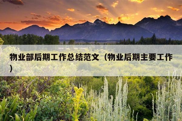 物业部后期工作总结范文(物业后期主要工作)