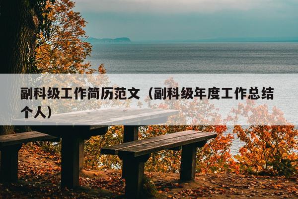 副科级工作简历范文(副科级年度工作总结 个人)