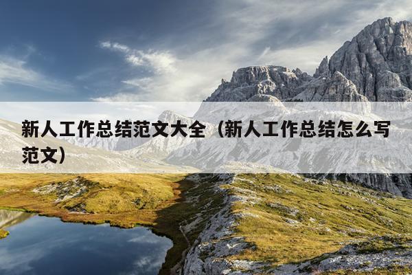 新人工作总结范文大全(新人工作总结怎么写范文)