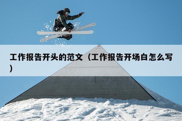 工作报告开头的范文(工作报告开场白怎么写)